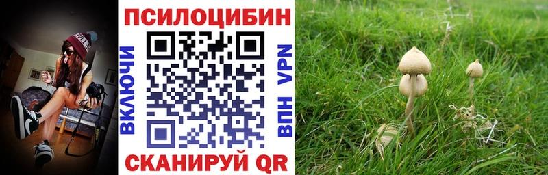 Галлюциногенные грибы ЛСД  Белоозёрский 